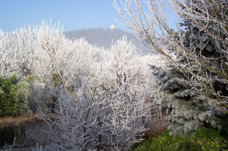 tholey_winter_2004_02