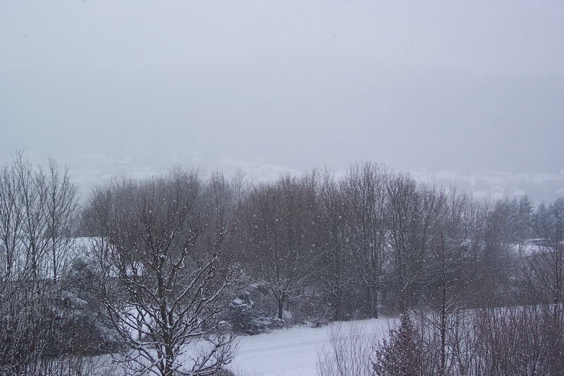tholey_winter_2004_14