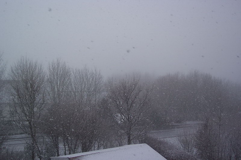 tholey_winter_2004_16