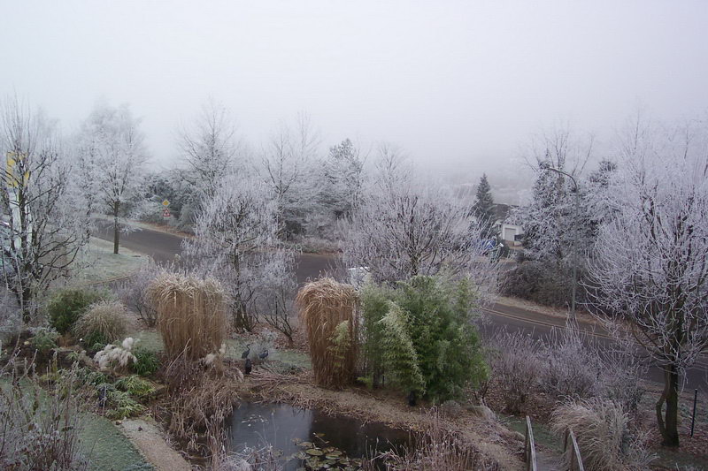 tholey_winter_2004_18