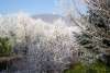 tholey_winter_2004_02