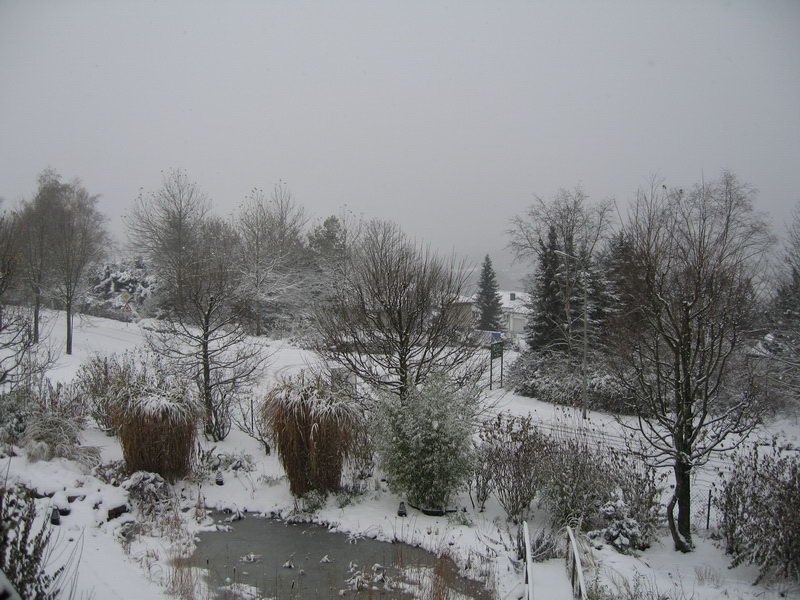 tholey_winter_2005_627