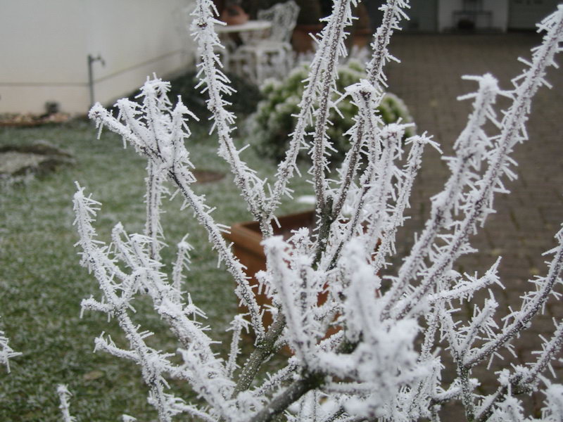tholey_winter_2005_628
