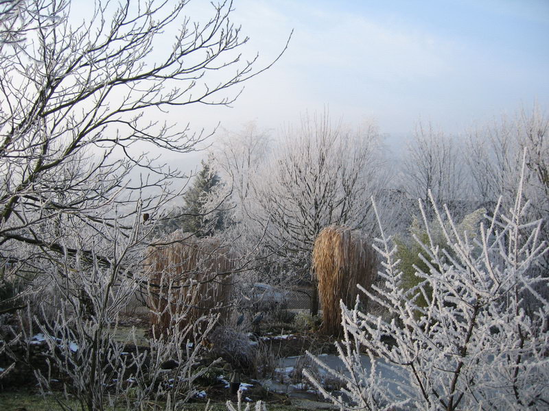 tholey_winter_2005_629