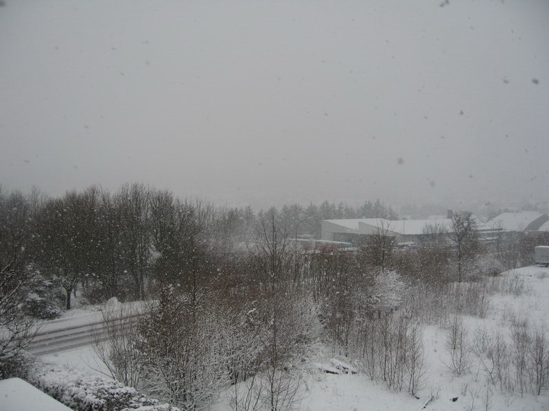tholey_winter_2005_630