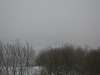 tholey_winter_2005_625