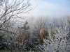 tholey_winter_2005_629