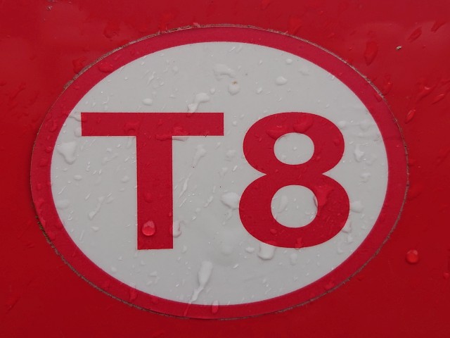 T8 - Rund um den Wolfer Berg